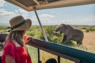 A Caucasian girl in a hat looks at animals in the savannah. The concept of travel and adventure in...