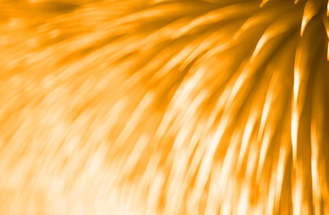 Amazon Orange Abstract Creative Background Design