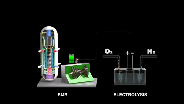 Hydrogen production using small modular reactor and carbon neutrality