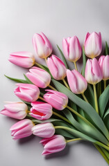 Soft Pink Tulips in Close-Up on Light Grey Background, High-Resolution Floral Photography