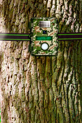 Wildkamera an einem Baum befestigt
