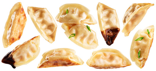 Japanese dumplings Gyoza isolated on white background. Collection with clipping path.