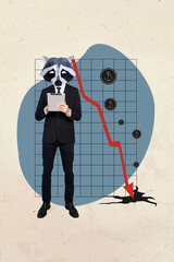 Vertical photo collage of guy instead head face raccoon hold tablet arrow crisis problem dollar inflation isolated on painted background