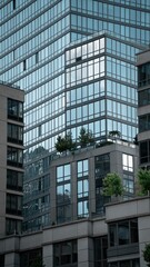 Fototapeta premium Vertical of a New York skyscraper.