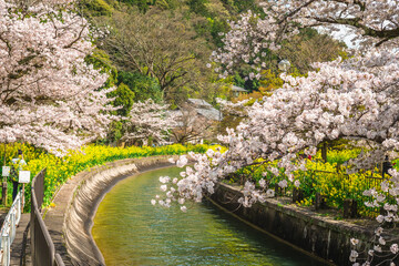 Yamashina Canal, a part of the Lake Biwa Canal in Yamashina District, Kyoto, Japan