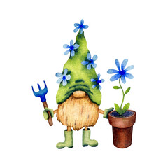 Watercolor illustration of a garden gnome with a rake and a flower in a pot isolated on a white background.