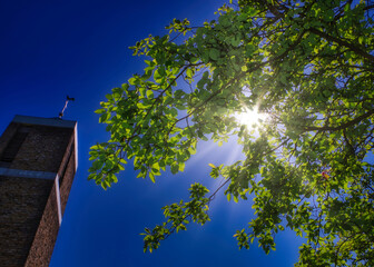 Das Bild zeigt eine malerische Szene, in der die Spitze einer Kirche majestätisch in den Himmel...