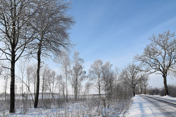 Winter view of Warmia, Poland.