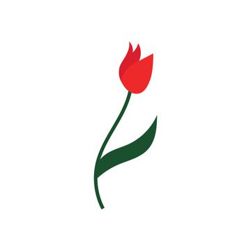tulips logo vector film icon illustration template design