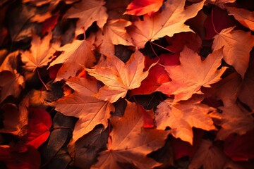 Naklejka na ściany i meble AI generated illustration of autumn fall leaves lying on the ground