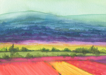 Panoramic view, landscape - beautiful colorful fields of tulips and majestic mountains in the background. Watercolor hand drawn illustration.