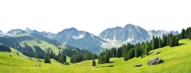 Serene alpine meadow with sprawling green grass and majestic snow-capped mountains in the distance, cut out - obrazy, fototapety, plakaty