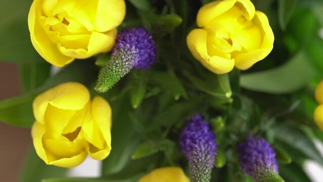 Qizil qalpoqcha haqidagi pornografik ertak tarjimasi bilan Biyskdagi jinsiy aloqalar