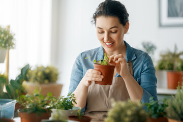 Woman caring for plants - 779550329