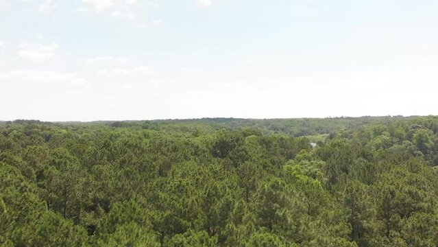 Drone shot over a lush green forest and a lake