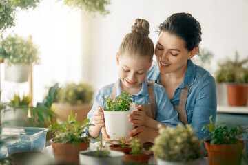 Family caring for plants - 779550584