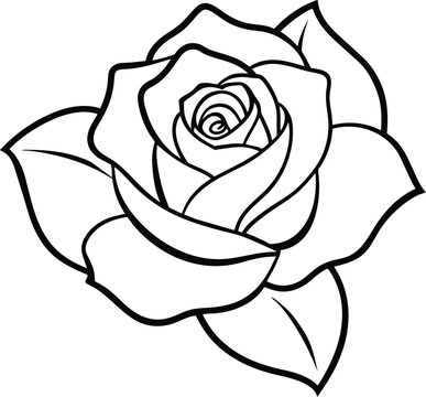 A rose flower outline vector art
