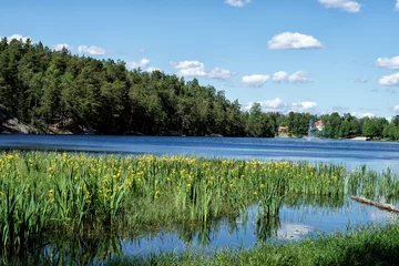Fotobehang A beautiful lake just outside Stockholm, Sweden © Allan