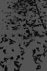 texture background