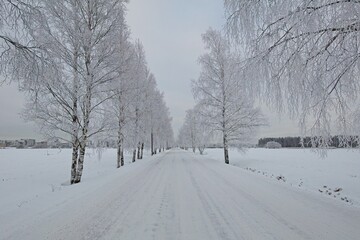 Obraz premium The snow has been plowed from the road in cold cloudy winter weather, Haltiala, Helsinki, Finland.
