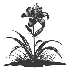 Silhouette Lily flower in the ground black color only