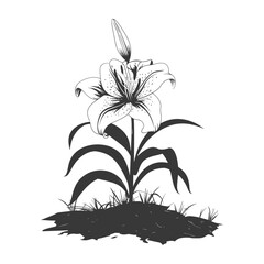 Silhouette Lily flower in the ground black color only