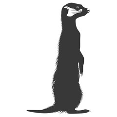 Silhouette meerkat animal black color only