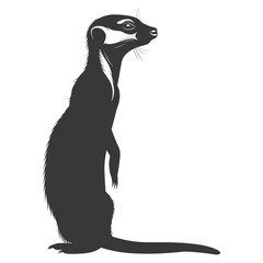 Silhouette meerkat animal black color only