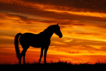 Obraz na płótnie Canvas Horse at sunset - Generative AI