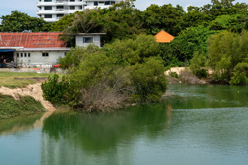 A river with green water, the bank of which is overgrown with tropical vegetation. In the background, buildings are visible among the thickets of vegetation.