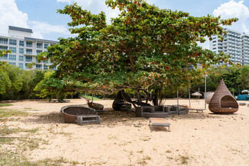 On the yellow sand of the beach, in the shade of a large tree, there are sun loungers and other beach furniture. In the background are the hotel buildings against a blue sky with white clouds.