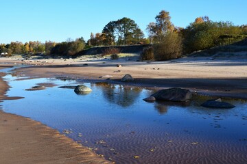 Closeup shot of a beach with green trees and water reflecting the blue sky