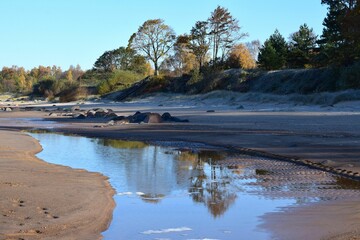 Stones near water at beach with trees in background