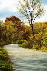 Beautiful view of a highway with fall foliage trees around