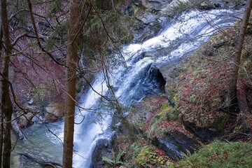 Closeup shot of a mountainous waterfall flowing into a river on an autumn day