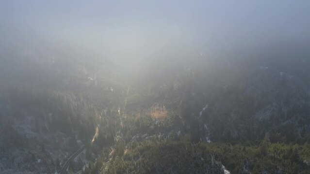 Aerial view of a misty sky over the trees on the Bicaz Mountains in Romania