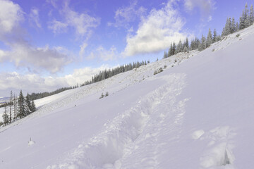 
the path is laid in deep snow along the traverse of the mountain, winter hike, snowdrifts, path, direction, footprints