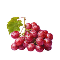 Fototapeta premium Close-up of grapes with leaf on Transparent Background