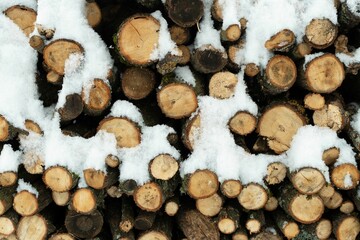 Cut down wood trunks covered with snow stacked on each other in the forest