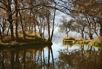 Obraz premium AI generated illustration of a river flows amidst two trees on its banks