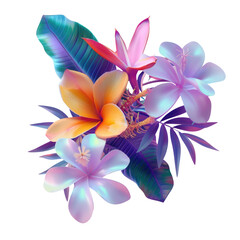 Many colored flowers on a Transparent Background