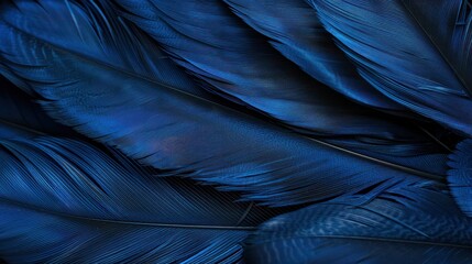 Obraz premium Detailed close-up view of navy blue bird feathers