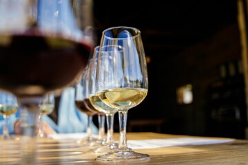 Low-angle shallow focus of glass cups filled with drinks in a row on a wooden surface