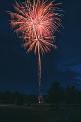 Vertical shot of vibrant, colorful fireworks exploding in the blue sky at night