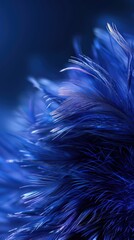Detailed close-up of a navy blue bird feather contrasting against a dark backdrop