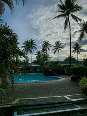 Vertical shot of a pool surrounded by palm trees with a cloudy sky in the background