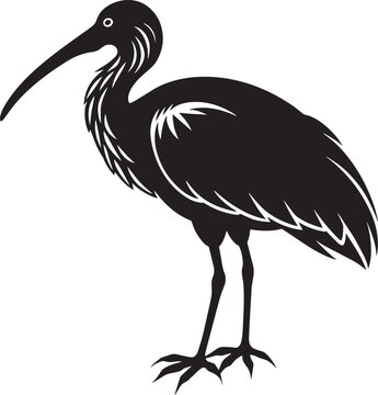 recommend clip art: Vector of a silhouette of a ibis on a white background