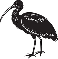a silhouette of a ibis on a white background. vector illustration