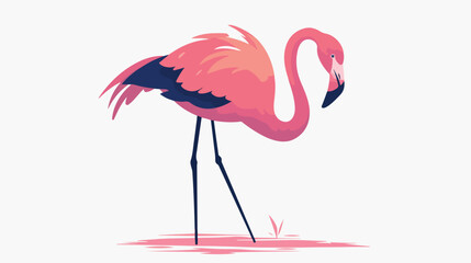 Flamingo silhouette. Vector illustration of a black s