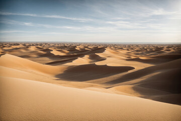 Fototapeta na wymiar Endless sand dunes in desert landscape